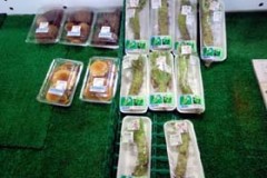 豊浦産本わさび