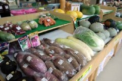豊浦産季節のお野菜