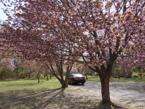 DSC00211