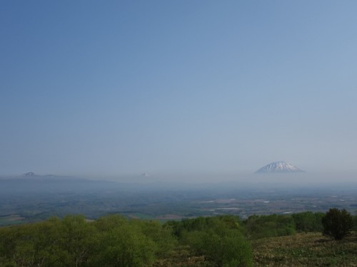 DSC00260