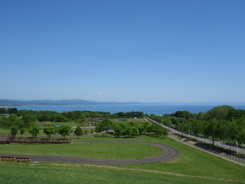 DSC00314