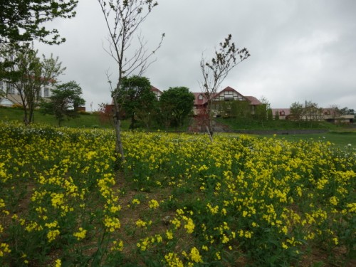 DSC00670