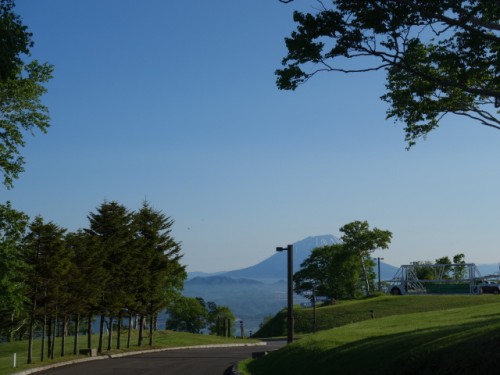 DSC00703