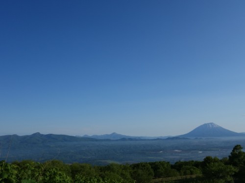 DSC00705