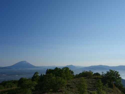 DSC00707