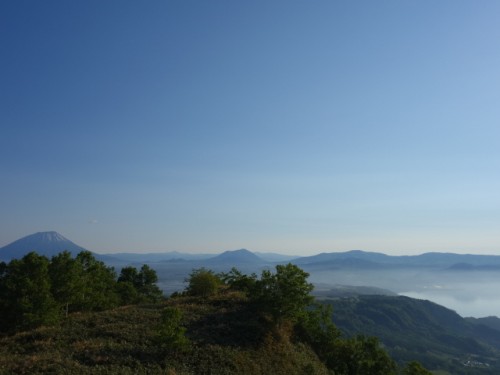 DSC00710