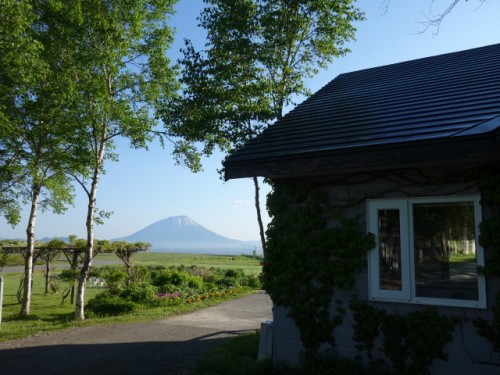 DSC00725