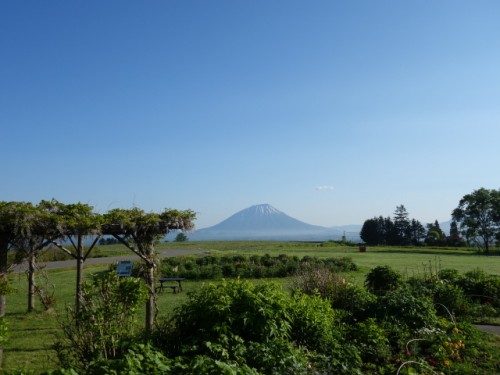DSC00726