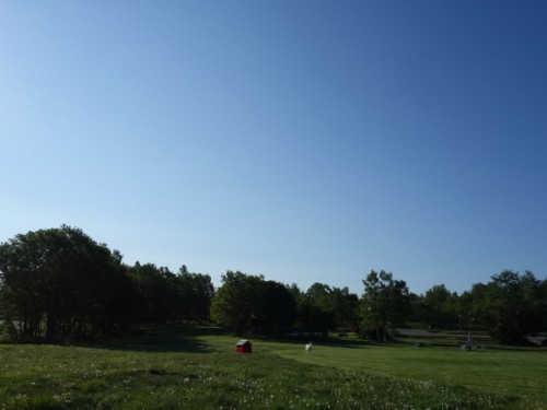 DSC00734