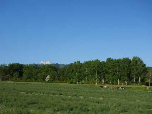 DSC00738