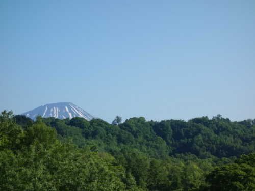 DSC00790