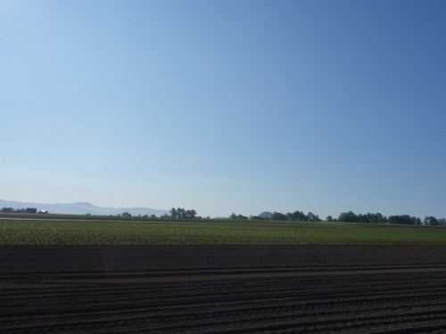 DSC00794