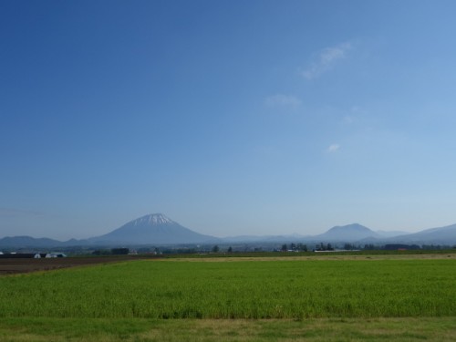 DSC00803