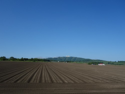 DSC00805