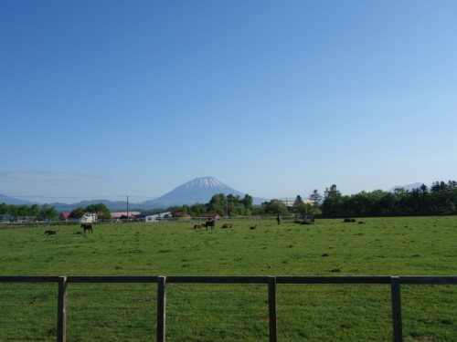 DSC00808