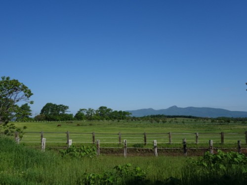 DSC00809