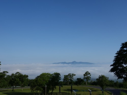 DSC00955