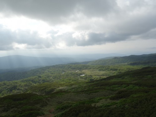 DSC01213