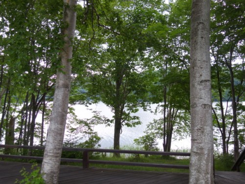 DSC01351