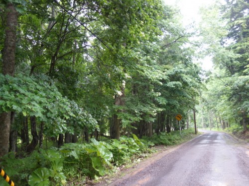 DSC01368