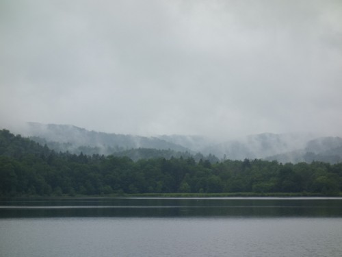 DSC01375