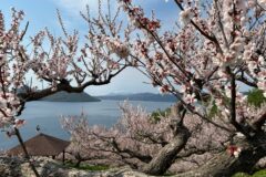 北海道 洞爺湖 5月15日